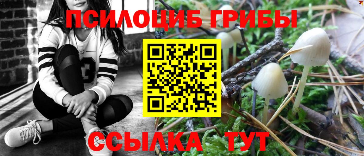 Галлюциногенные грибы мухоморы  Вход с VPN  Галлюциногенные грибы MAGIC MUSHROOMS  Тавда 