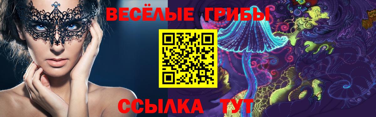 Галлюциногенные грибы мухоморы Тавда